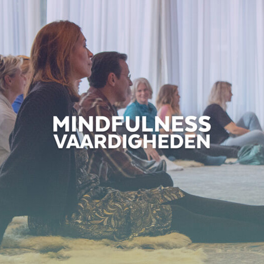Mindfulness Vaardigheden