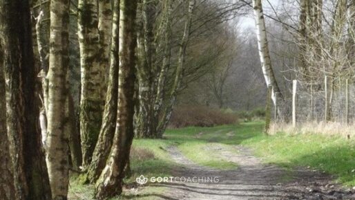 “If” van Rudyard Kipling – Tijdloze wijsheid voor persoonlijke groei