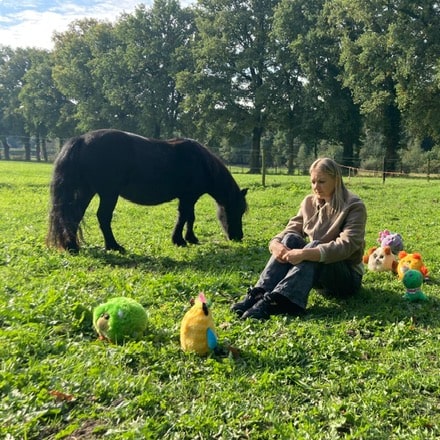 Vrouw zittend in een weide met twee paarden en knuffels tijdens paardencoaching