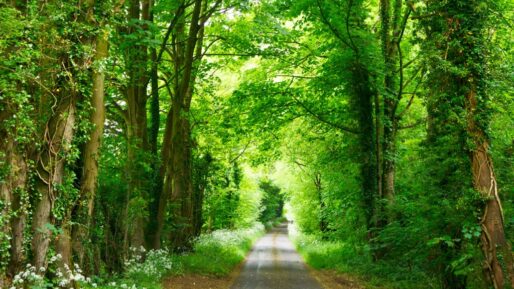 Hoe ga je om met een narcist in je omgeving?