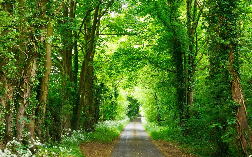 Hoe ga je om met een narcist in je omgeving?